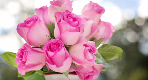 Le Rose nel Mondo della Cosmetica Naturale: Prodotti e Benefici